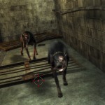 ss000008_bmp_jpgcopy